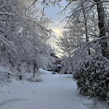 Alte Muehle- Im Gruenen * Мешеде