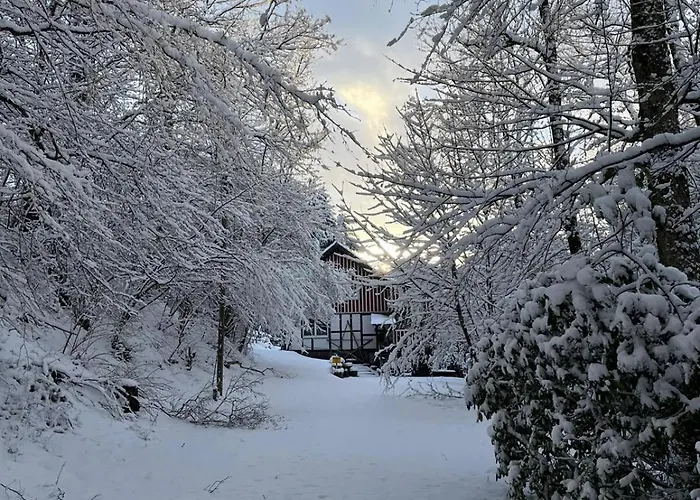 Alte Muehle- Im Gruenen * Meschede